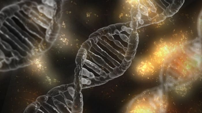 A mutation found in the dark matter of the human genome is linked to multiple kinds of cancer. Photo: Pixabay