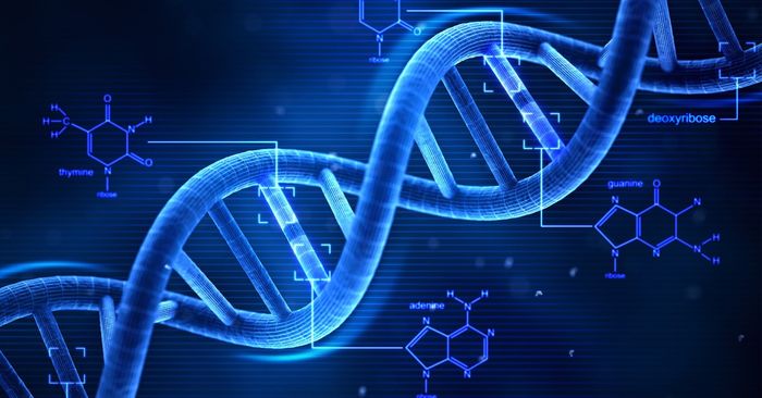 Oncology, infectious diseases, genetic disorders, cardiovascular diseases and ophthalmological indications are the most active gene therapy pipeline sectors.