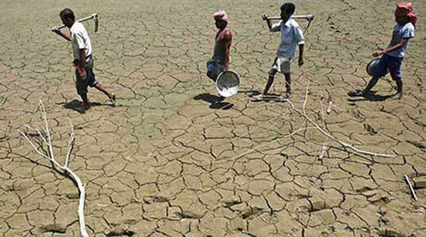 Photo: Thousands of farmers and farm workers commit suicide each year due to the stress of fluctuating weather patterns. Photo: The Indian Express