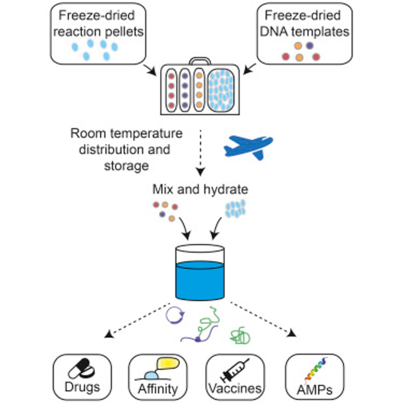 The graphical abstract of the study / Credit: Cell Press Pardee et al