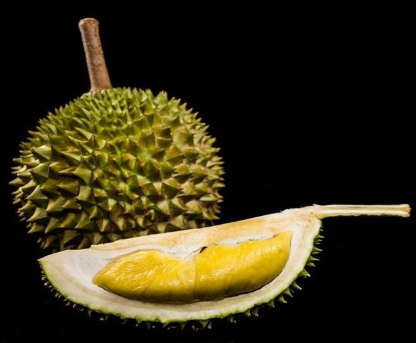 This is a photograph of Durian (intact and opened). / . Credit: Kevin Lim, Yong Chern Han, Cedric Ng