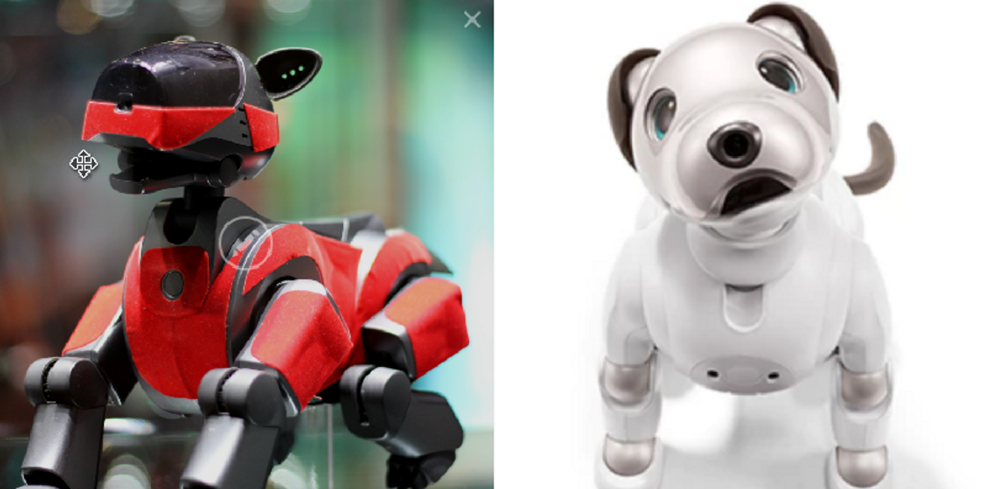 early Aibo and current version, credit: left: Creative Commons via Sven Volkens, right: Sony