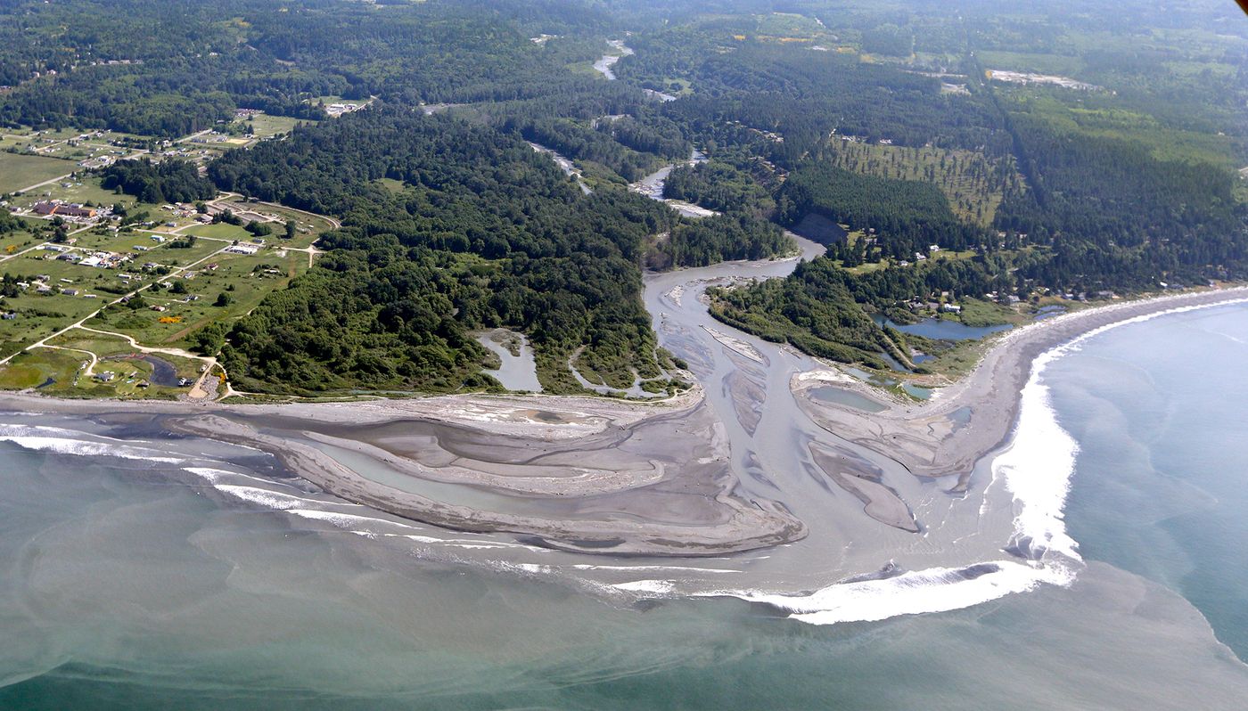 The nearshore of the Elwha River post dam removal. Photo: news.nationalgeographic.com