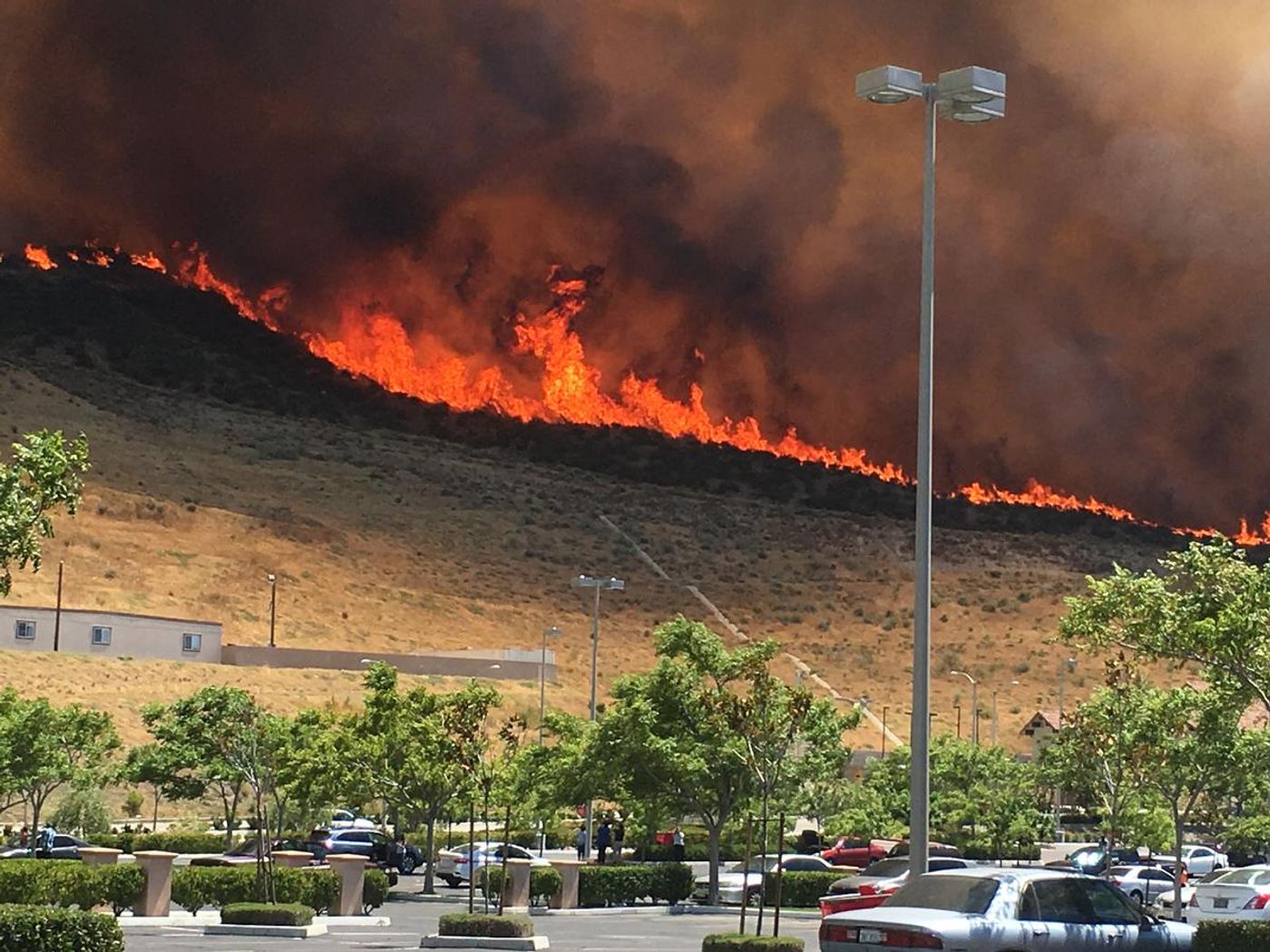 Photo: NBC Los Angeles