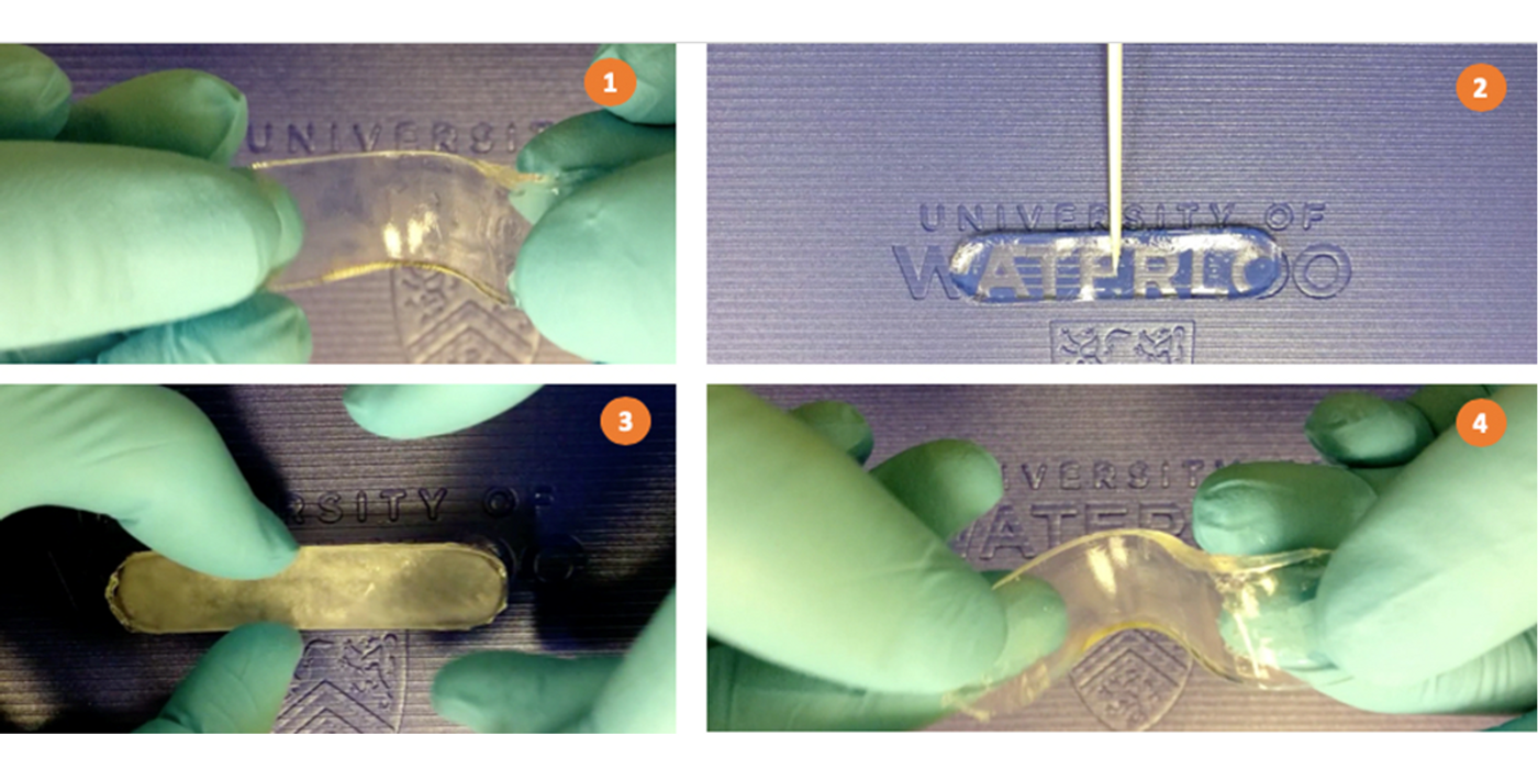 The state-shifting material switching between soft and hard conditions (image use granted by UWaterloo)