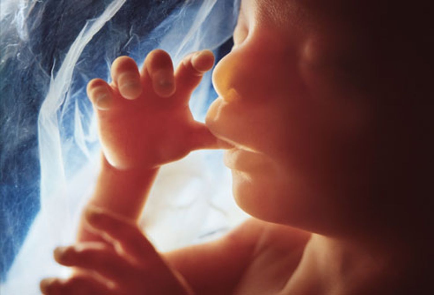 New Non-Invasive Prenatal Tests Detect Smaller Chromosomal Abnormalities 