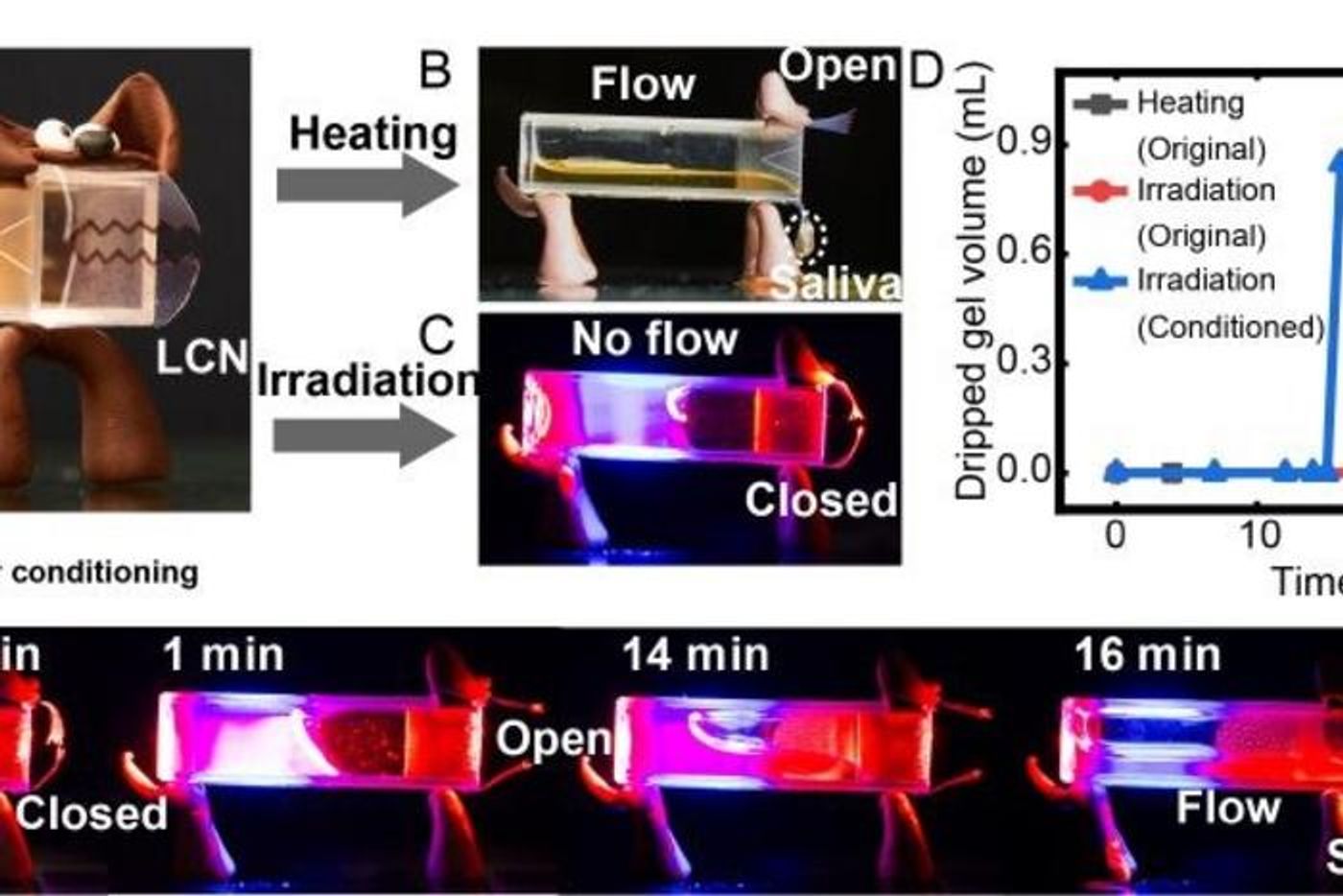 The pre-conditioned "dog" can salivate on demand (Use of Image authorized by Dr A. Priimägi/Tampere U)