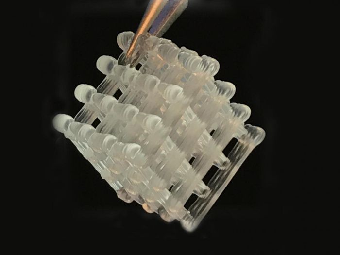 A 3D-printed hydrogel "biofactory" (UT Austin)
