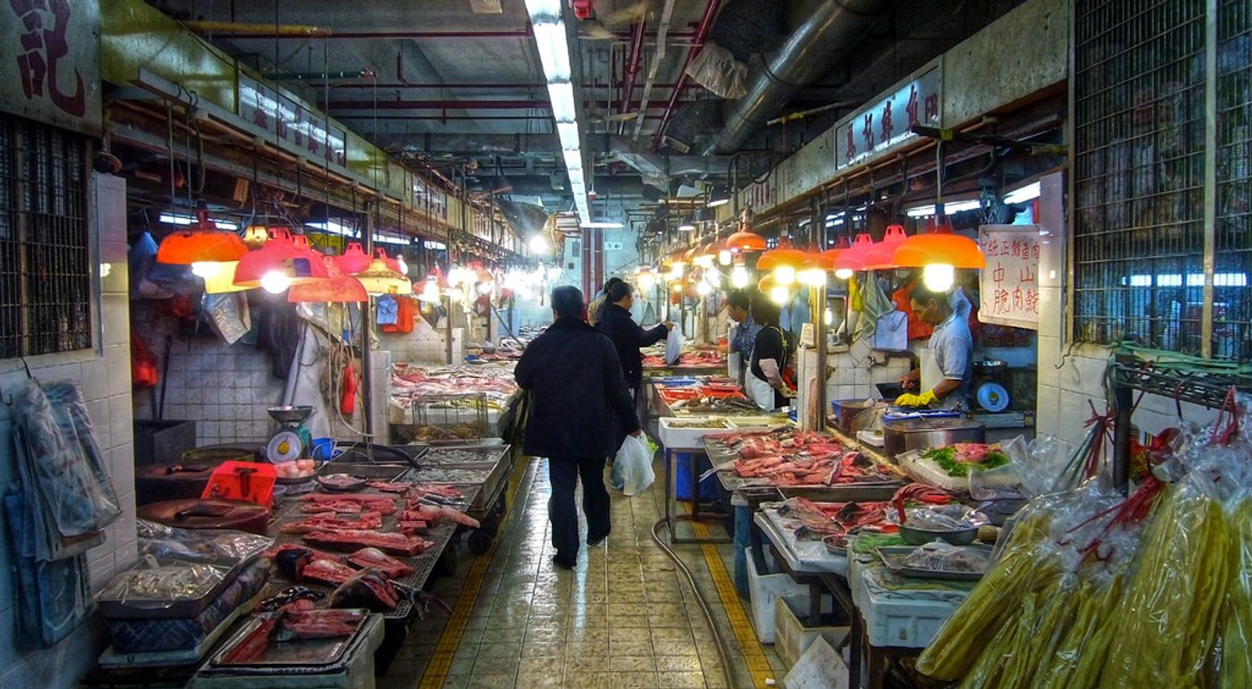 The Sheung Wan market in Hong Kong is full of squid and fish. Photo by Joop/Flickr