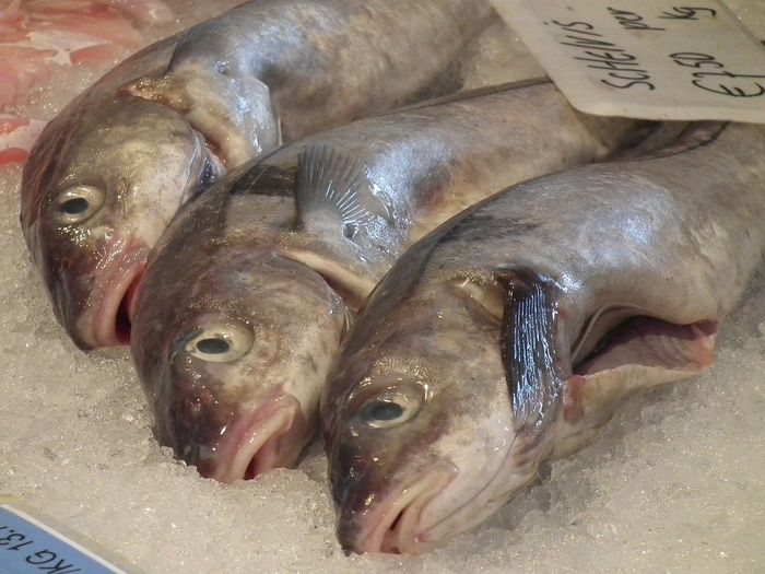 The Smell of Rotten Fish Could Help Predict the Recovery of