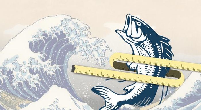 Kyoto University researchers have found that fish oil transforms fat-storage cells into fat-burning cells, which may reduce weight gain in middle age.