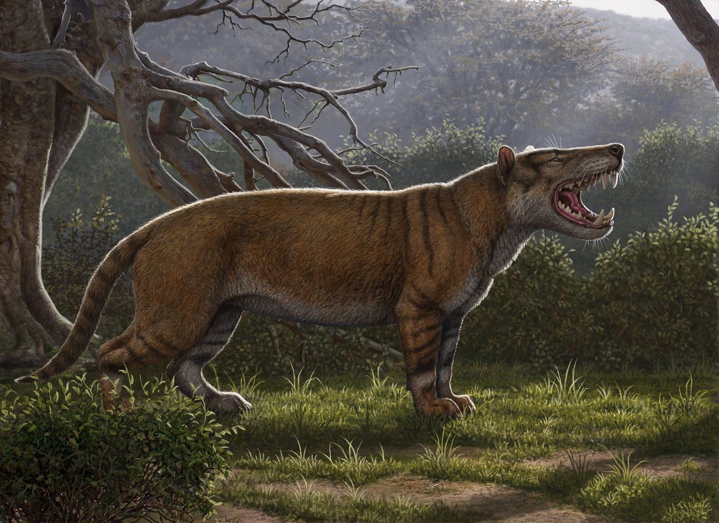 An artist's impression of the newly discovered beast.