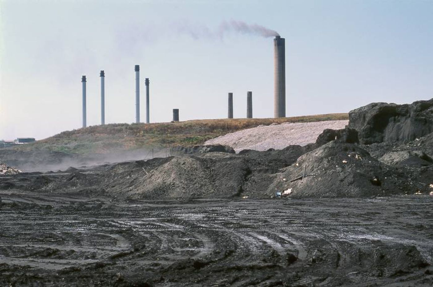 Coal ash is toxic to humans and wildlife. Photo: Tree Hugger 