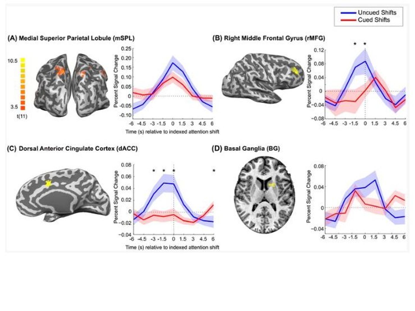 Increased activity in the dACC and rMFG leading up to a voluntary choice in the uncued tests.