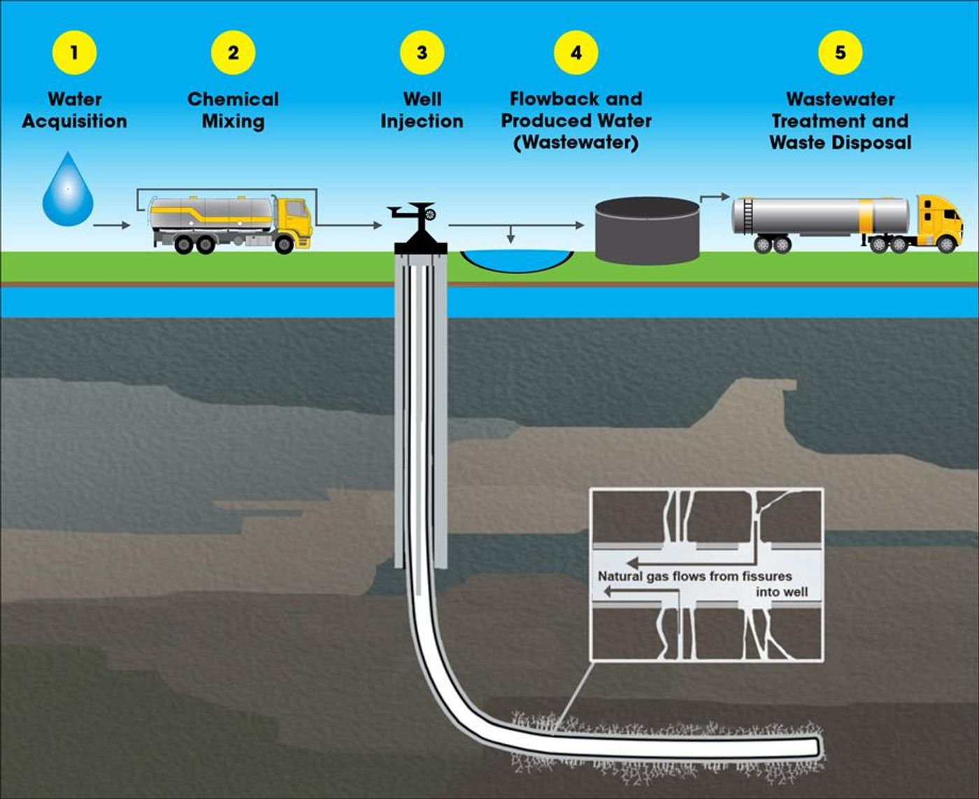 Frackibacter thrives in fracking wells.