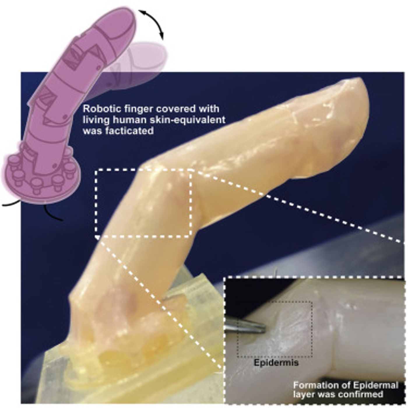 The graphical abstract from Kawai et al, Matter 2022