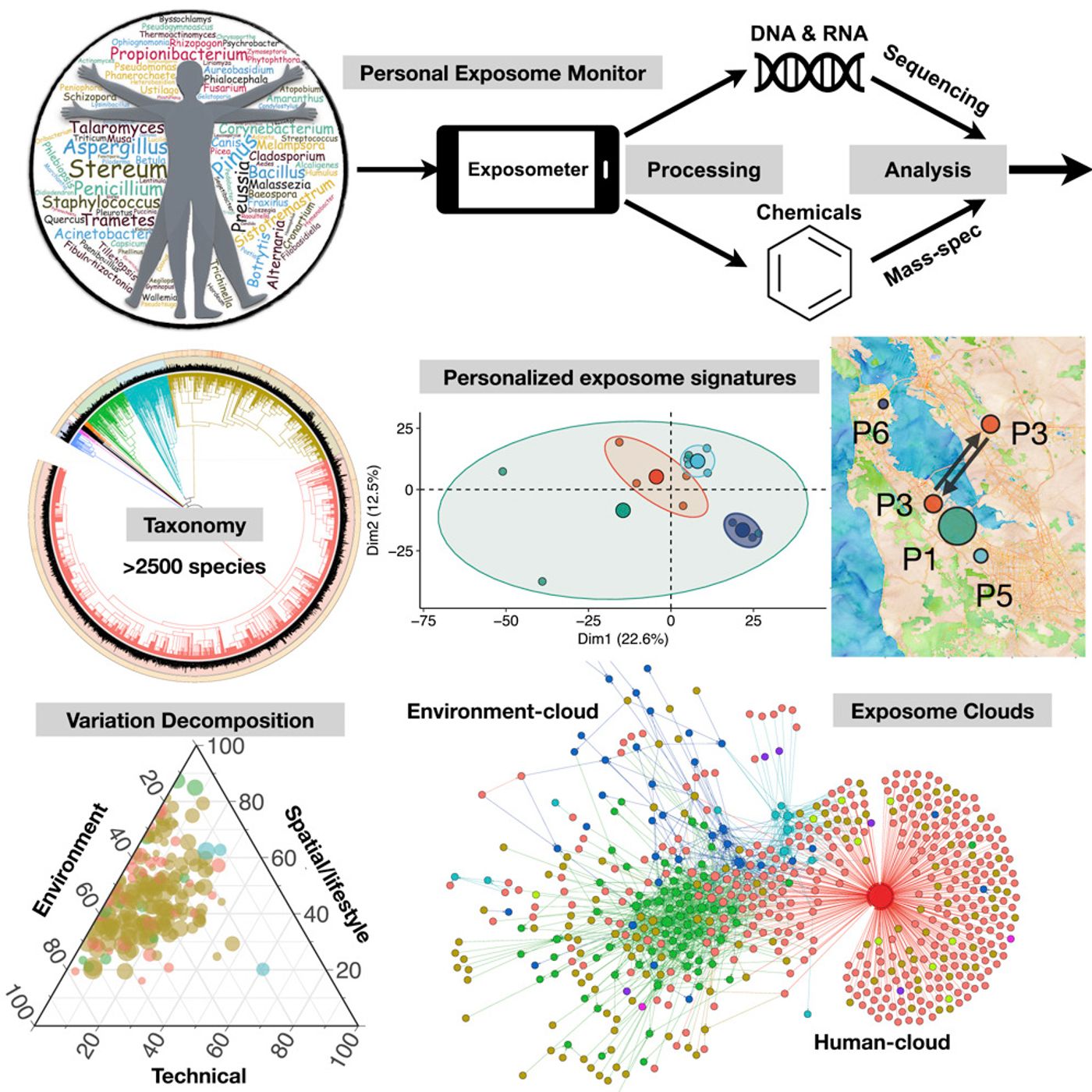 Graphical abstract Cell Jiang et al