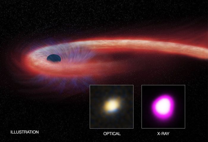 This black hole has been devouring the same star for a decade, the longest this activity has ever been observed in any black hole.