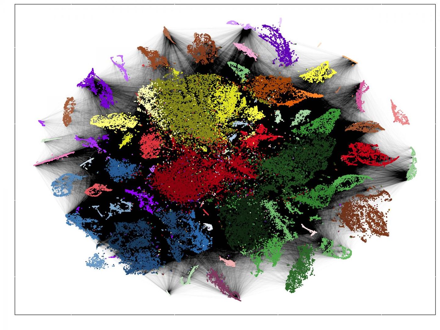 Technologies such as RNA sequencing show which genes are translated in each individual cell. Using similar expression profiles, they were sorted by colour. The black lines symbolize a common origin of the cells. From these data, the researchers traced the cell lineages. / Credit: Picture: Junker Lab, MDC