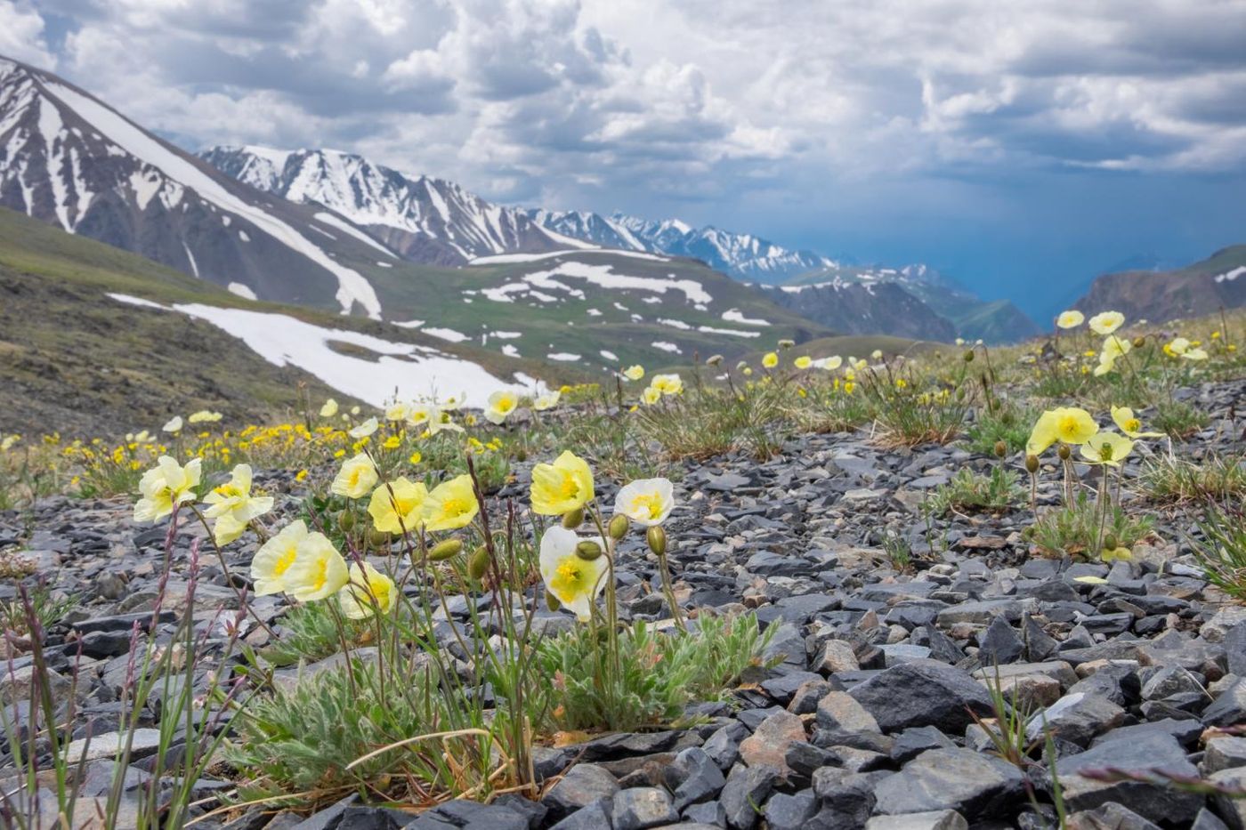 Signs of spring are coming earlier in the Arctic. Photo: Newsweek