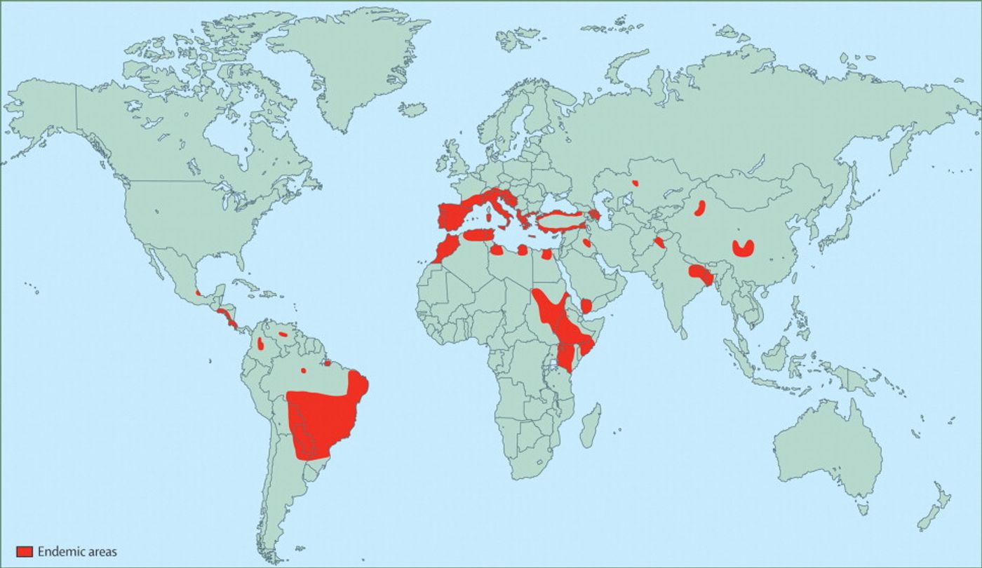  Geographical distribution of visceral leishmaniasis