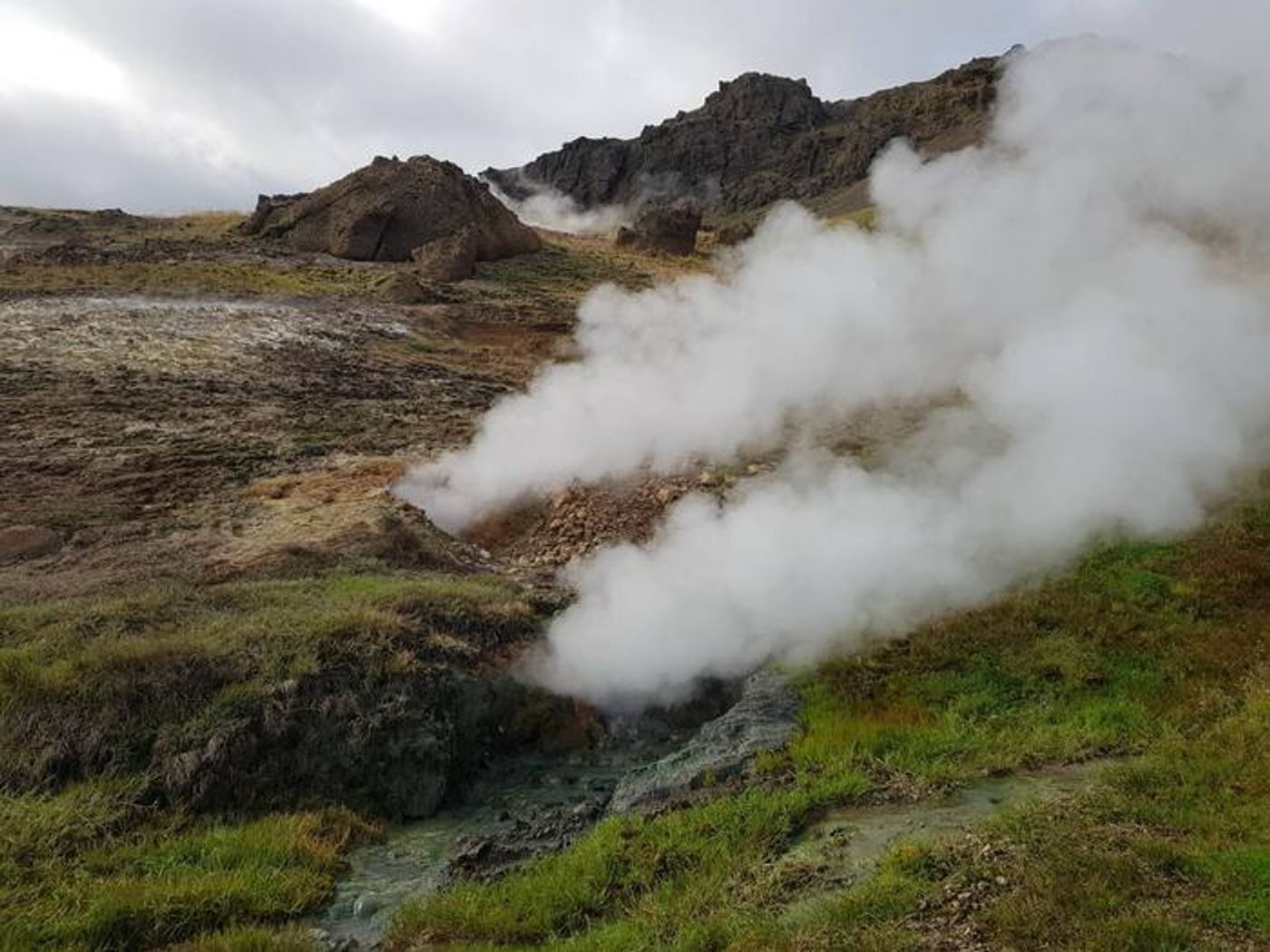 Subarctic grassland undergoing natural geothermal warming in Iceland./ Credit: Christina Kaiser