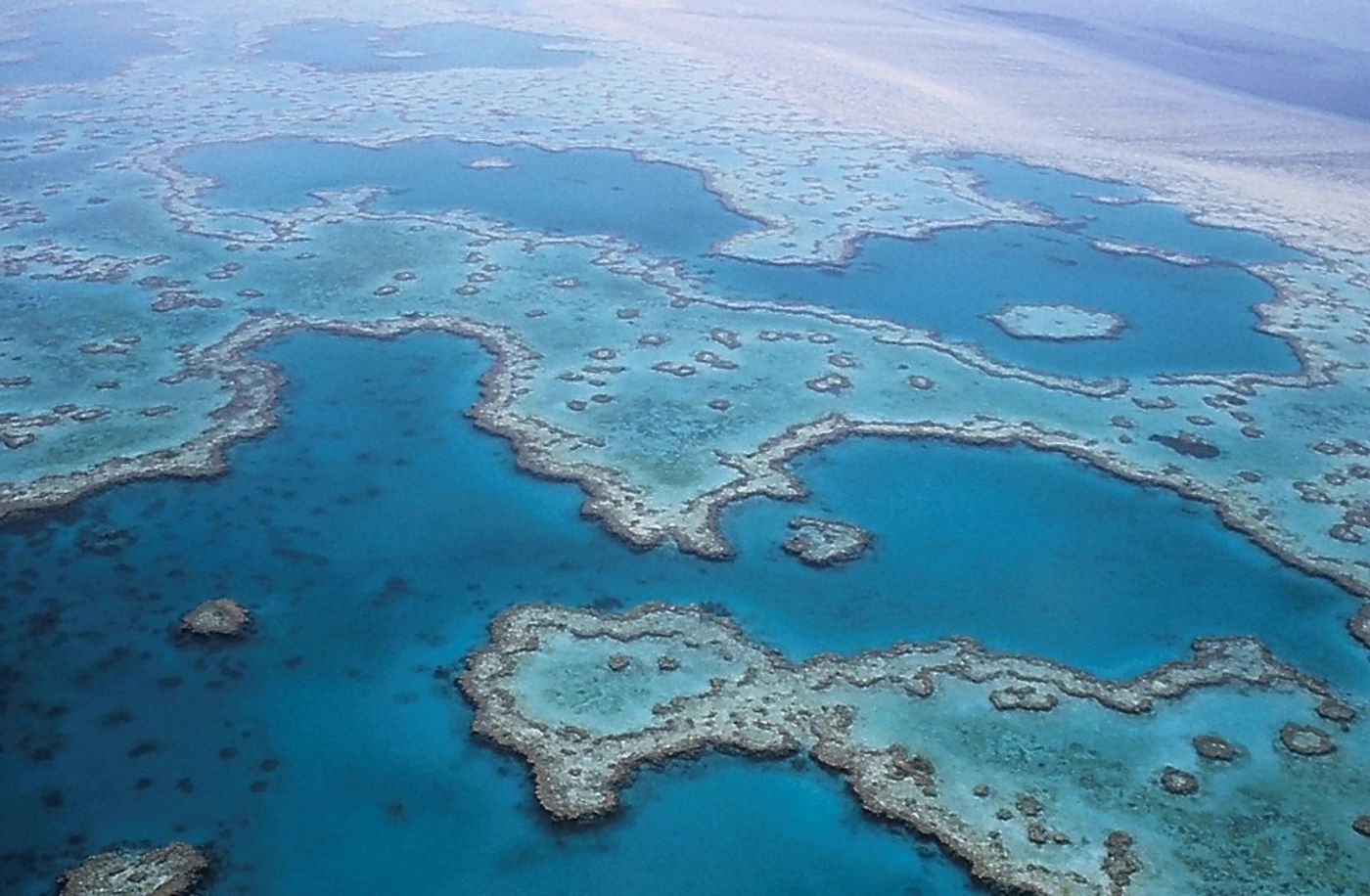 Scientists fear that the tipping point is near for the Great Barrier Reef. Photo: Pixabay