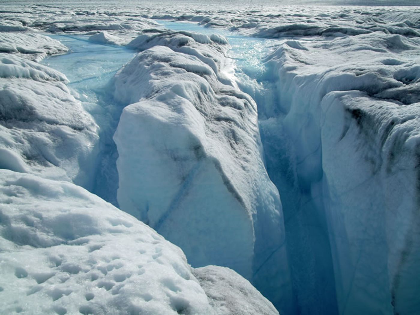 Meltwater rivers on top of Greenland's ice sheet. Source: dailysciencejournal.com
