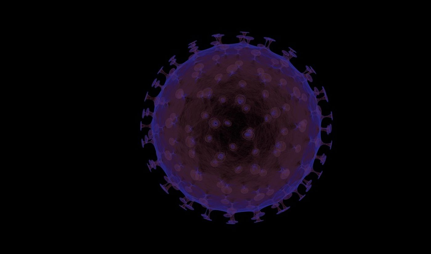 "Guardian" immune cell activity changes in response to eating habits.