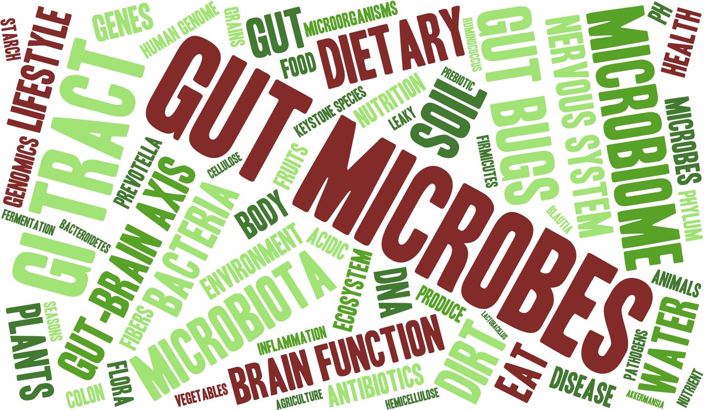 Gut microbes affect IBD.