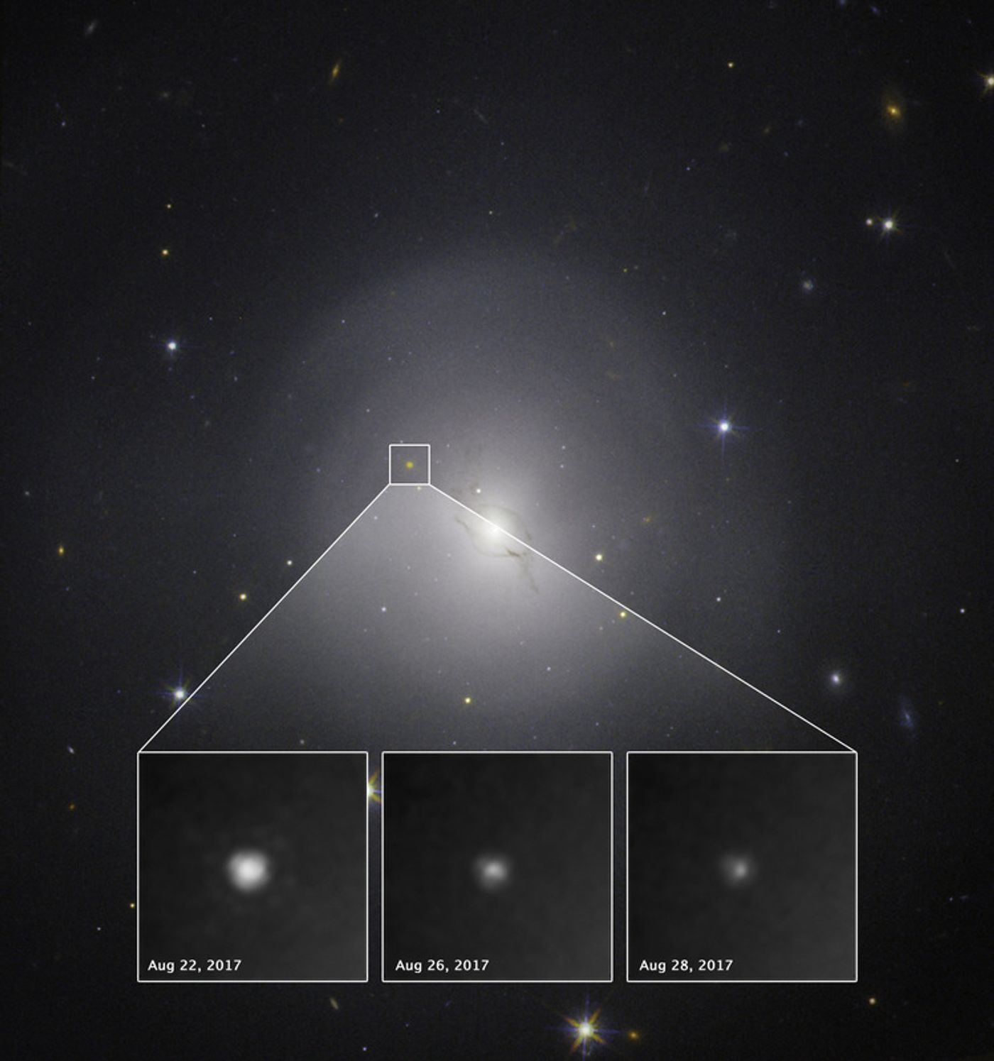 The fading gamma ray from GRB 170817 (NASA/ESA)