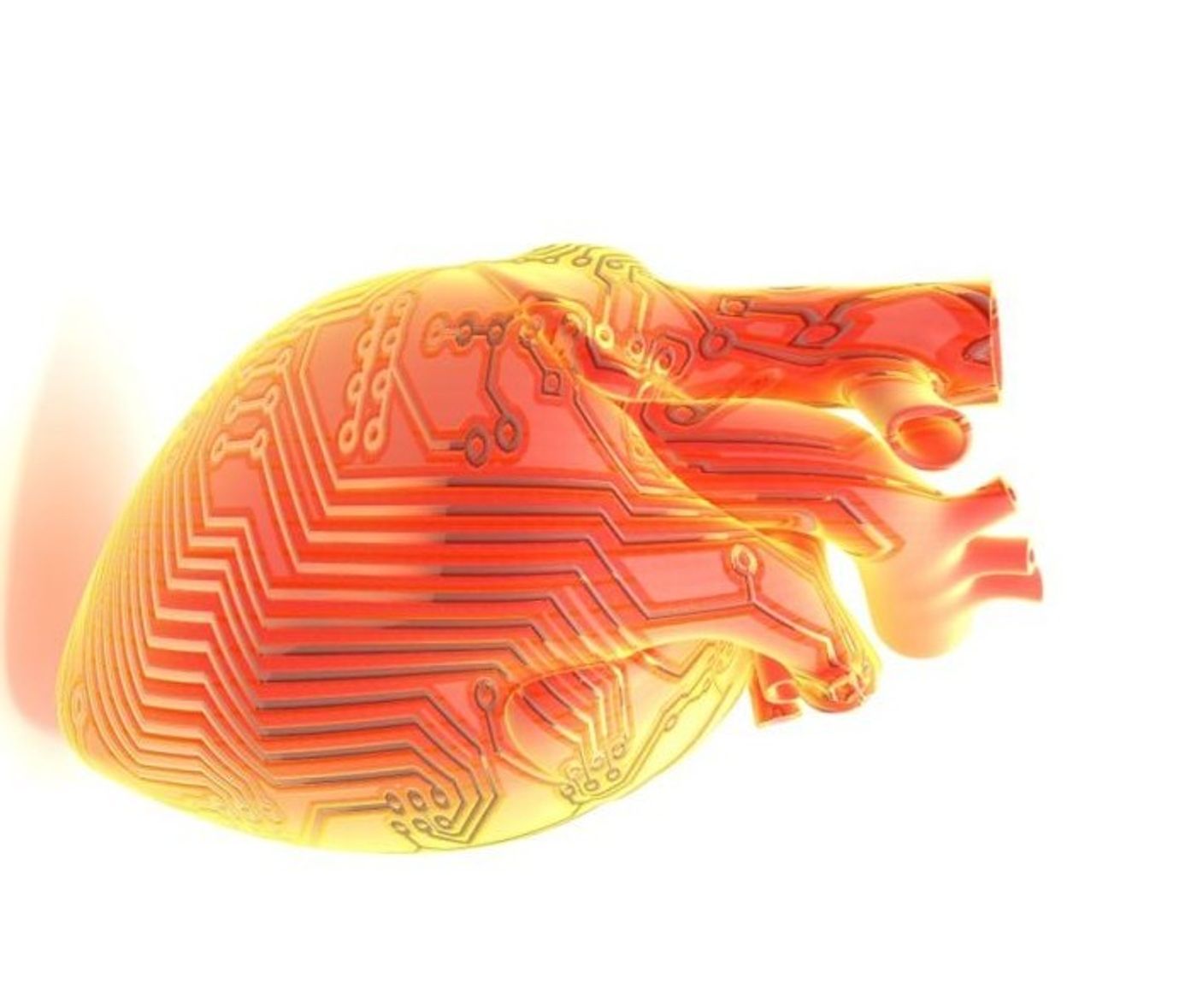 heart patches Archives - Science in the News