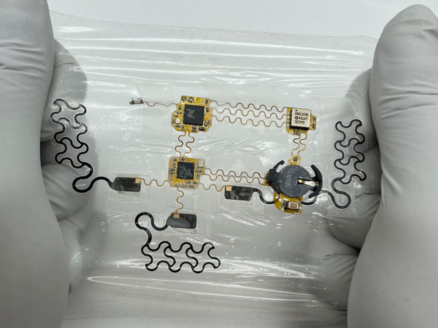 The e-tattoo is stretchy to conform to the body / Credit: The University of Texas at Austin