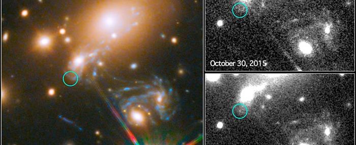 Scientists have observed the world's first predicted supernova with the Hubble Space Telescope.