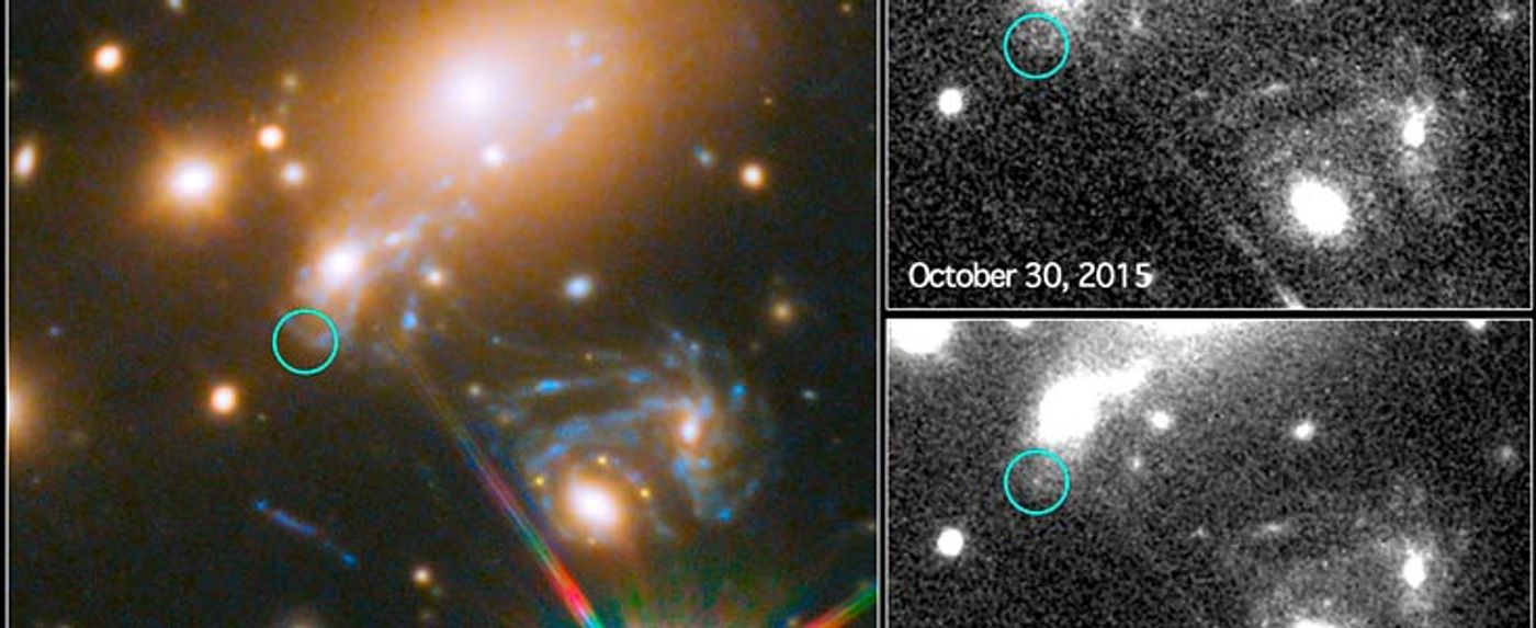 Scientists have observed the world's first predicted supernova with the Hubble Space Telescope.