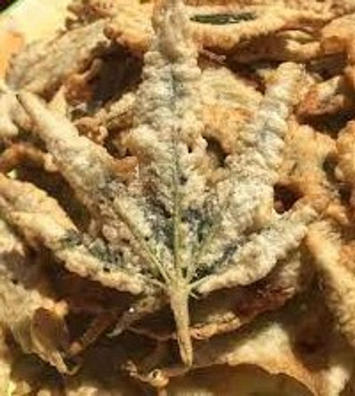 Deep Fried Cannabis? Cannabis Sciences