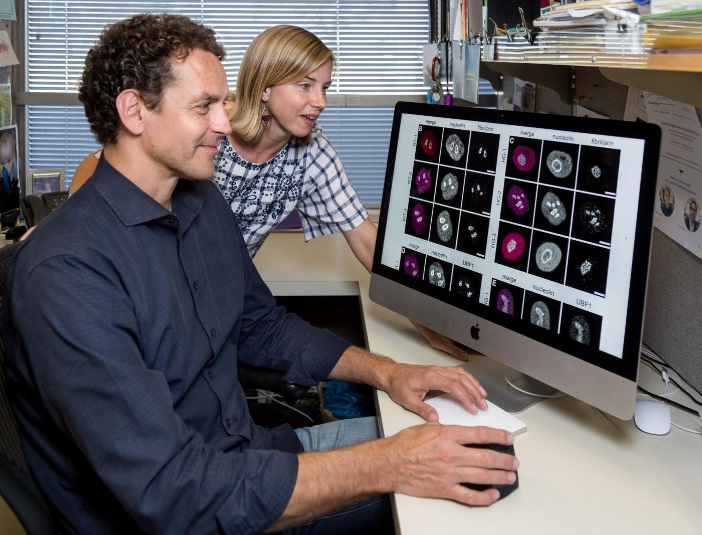 From left: This is Martin Hetzer and Abigail Buchwalter. / Credit: Salk Institute