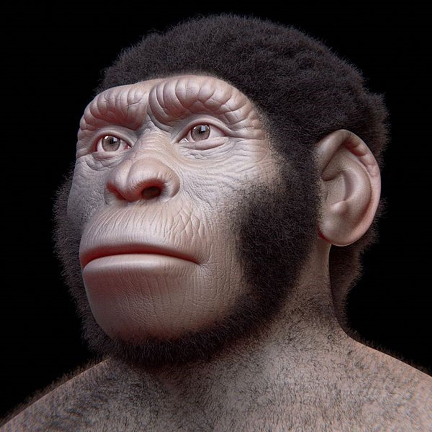 Monkey teeth are shedding new light on how early humans used tools