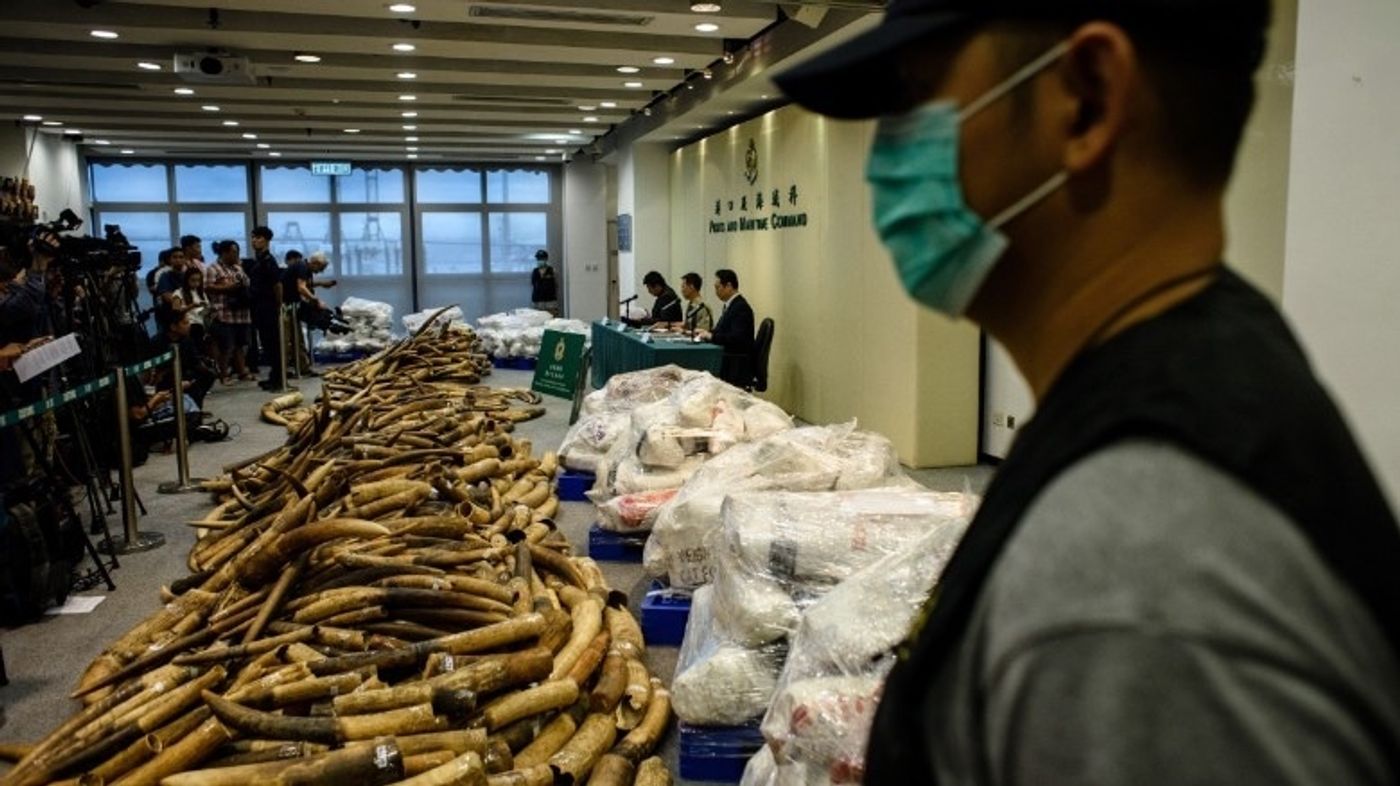 8 tons of ivory lay on the floor after being confiscated by Hong Kong officials.