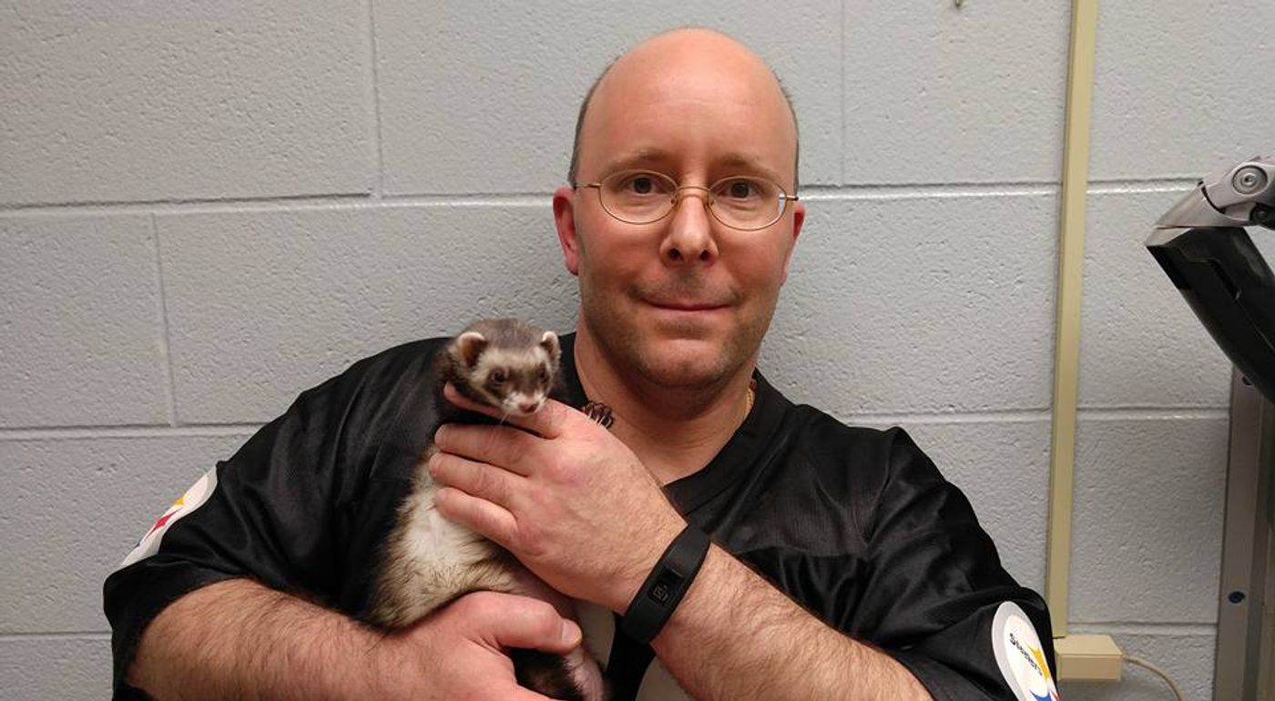 Pet owner Carl Hobi holds his pet ferret.