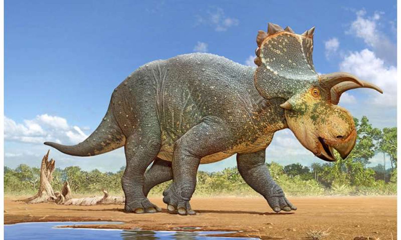 An artist's impression of the newly-discovered dinosaur.