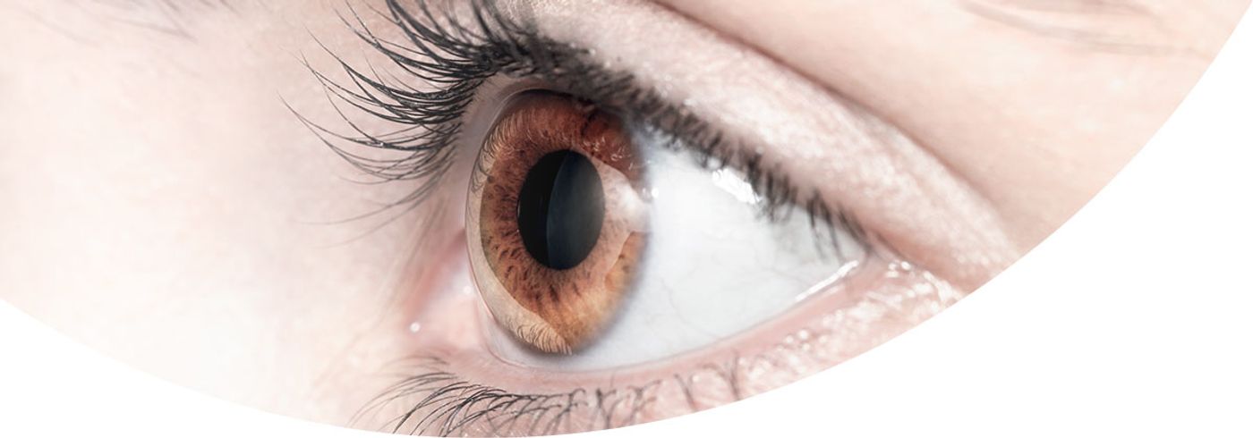 The eye microbiome stimulates the immune system.