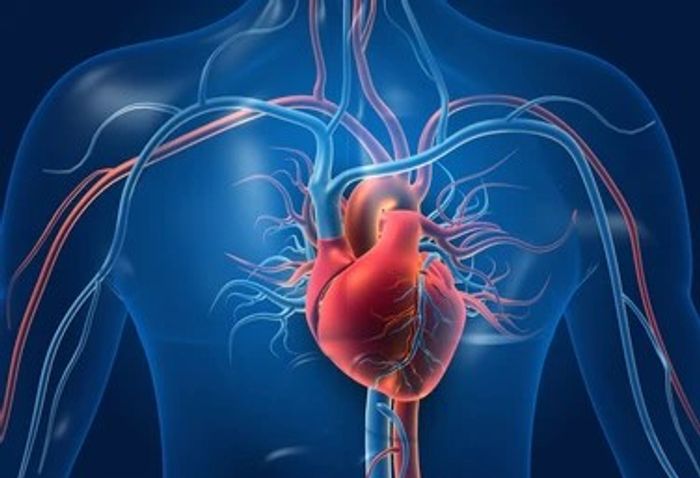 Cardiovascular diseases could see sharp increase in US by 2060  Cardiology
TOU