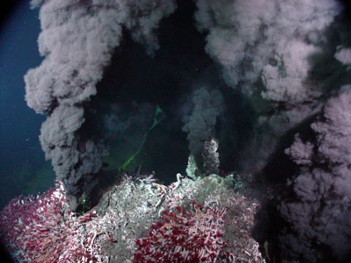 Hydrothermal sea vents, like the one this organism lived in. / Credit: NOAA