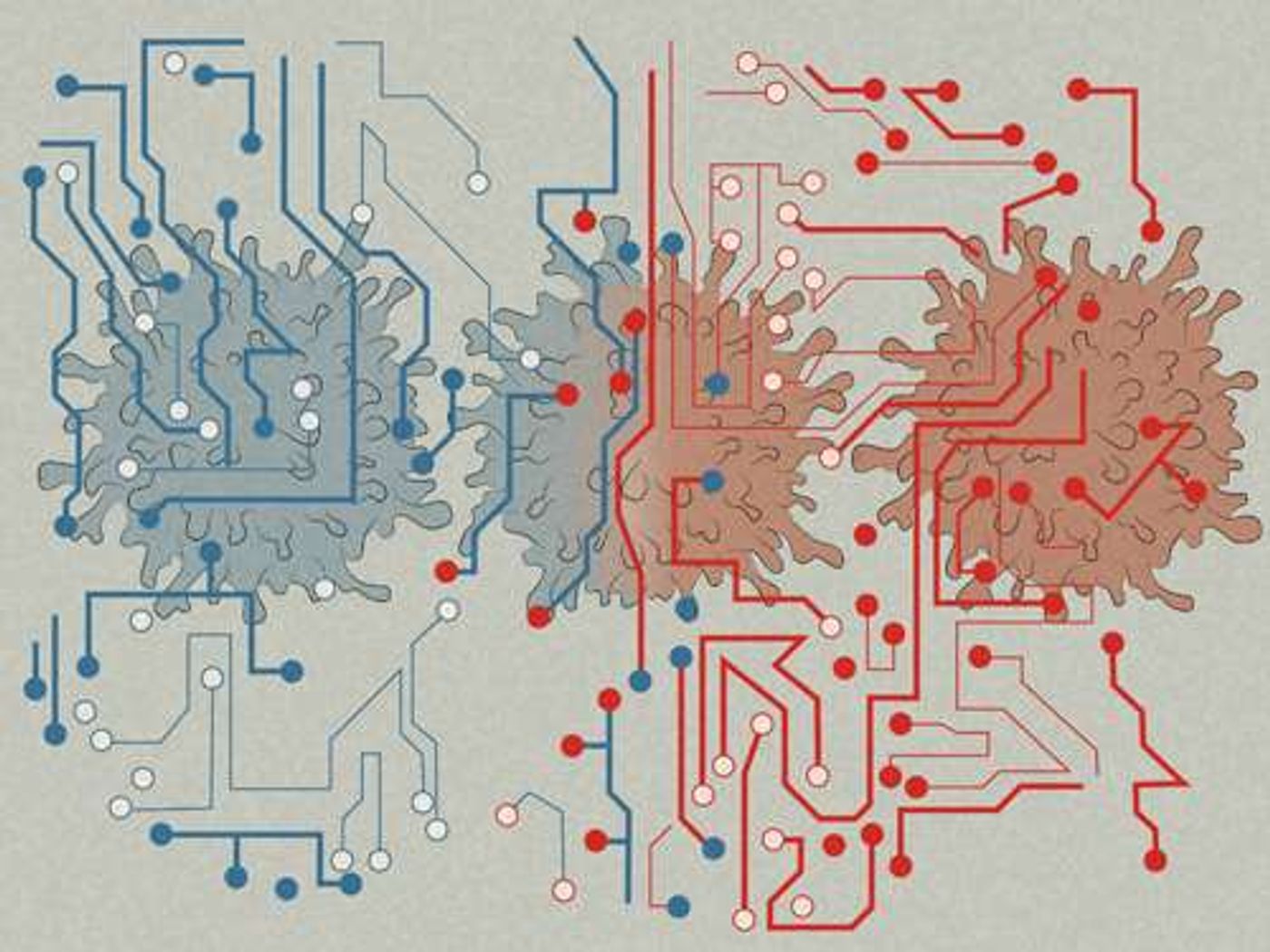 How do our immune cells communicate and interact?