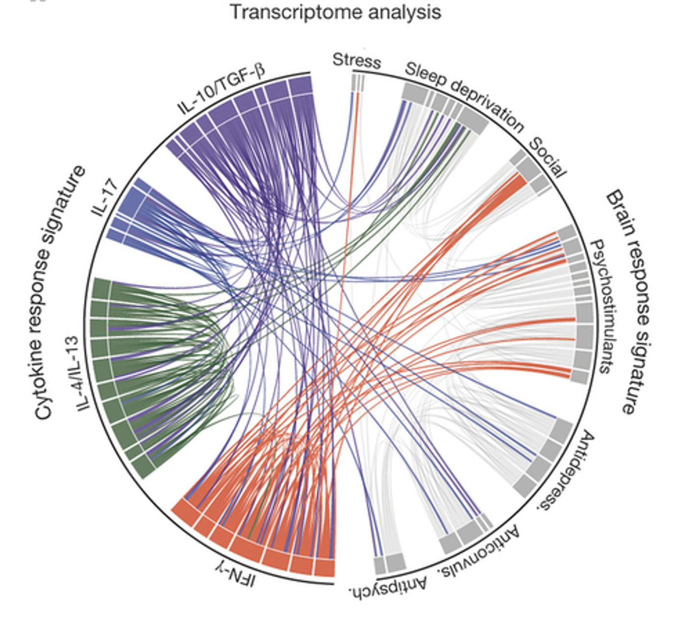 A circos plot generated by the researchers showing the connectivity map derived from the pairwise comparison of transcriptome data sets. / Credit: Nature Filiano et al 