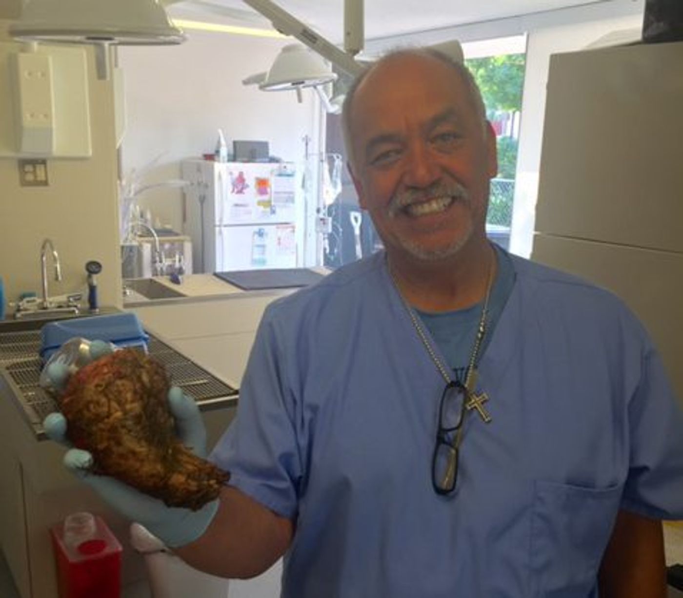 Dr. Baez, who performed the surgery, holds the mold of the dog's stomach.