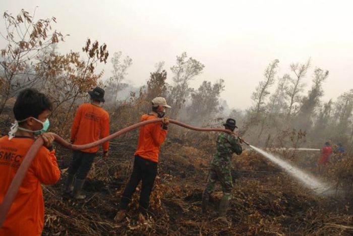 An Indonesian soldier and volunteers try to extinguish a fire in a peatland in Rimbo Long. Photo: www.newsnish.com 