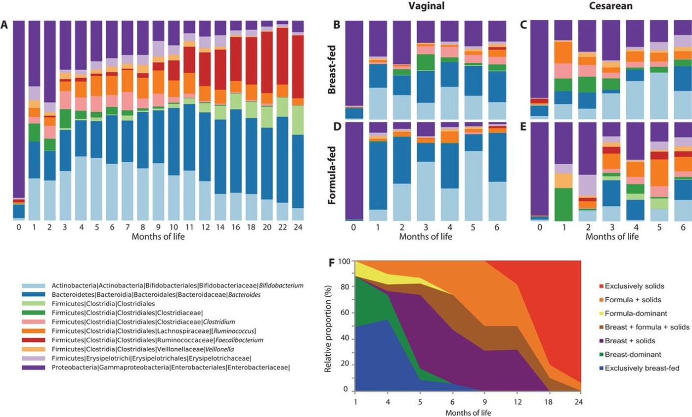 Microbial and dietary succession over first 2 years of life. Mean relative abundance (RA) of fecal bacteria at the genus level at each month of life, for taxa ?1% (A) All 43 infant subjects during the first 2 years of life. (B to E) The first 6 months of life for the 32 subjects who were not antibiotic-exposed, organized by delivery mode (vaginal or cesarean) and predominant feeding mode (breast or formula). Vaginal-breast, n = 15; cesarean-breast, n = 7; vaginal-formula, n = 3; cesarean-formula, n = 7. (F) Dietary trends in all infants across the study period. Image: Science Translational Medicine/Bokulich et al