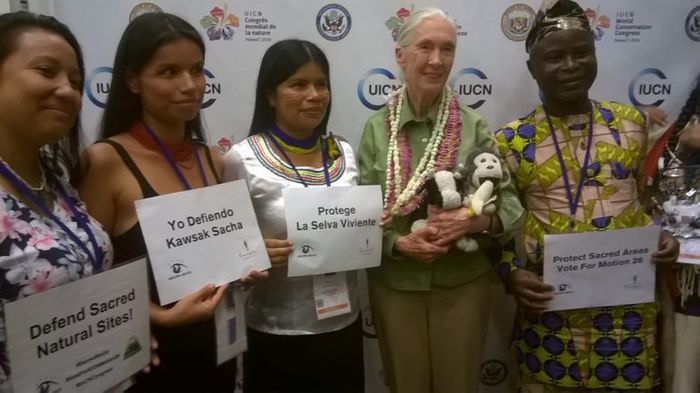 Goodall with indigenous leaders at World Conservation Congress. Photo: Mongabay